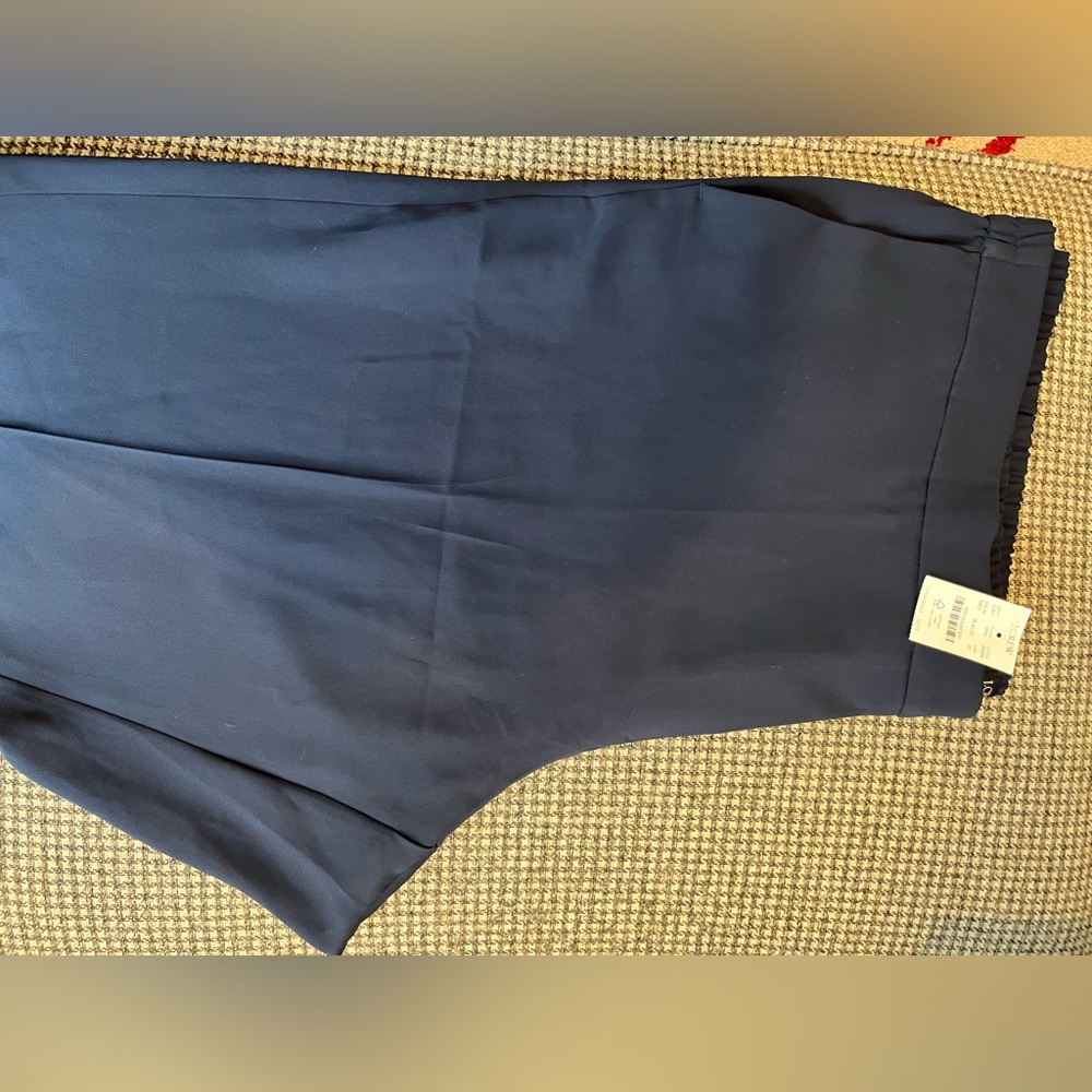 NWT J. Crew Factory Jamie pant